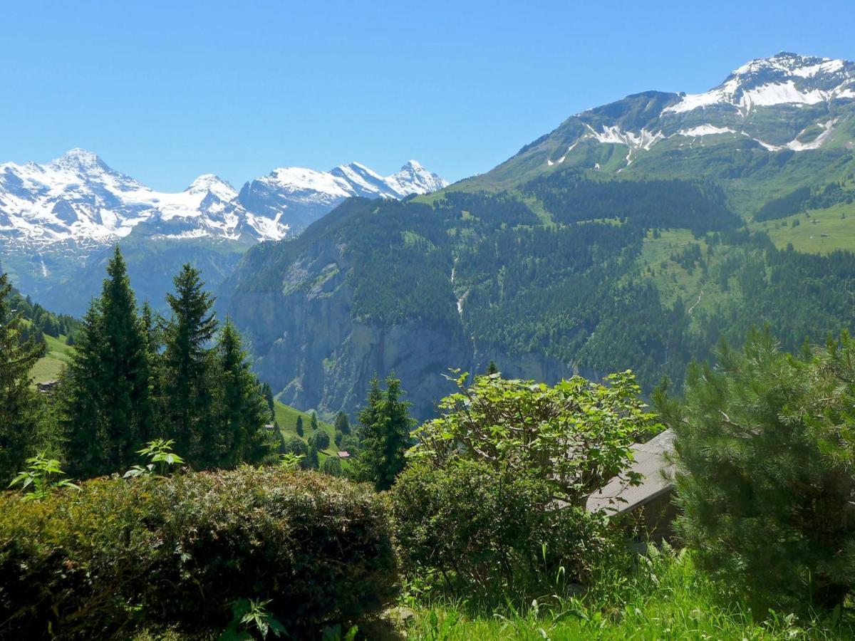 Chalet Zwaergli By Interhome Wengen Kültér fotó